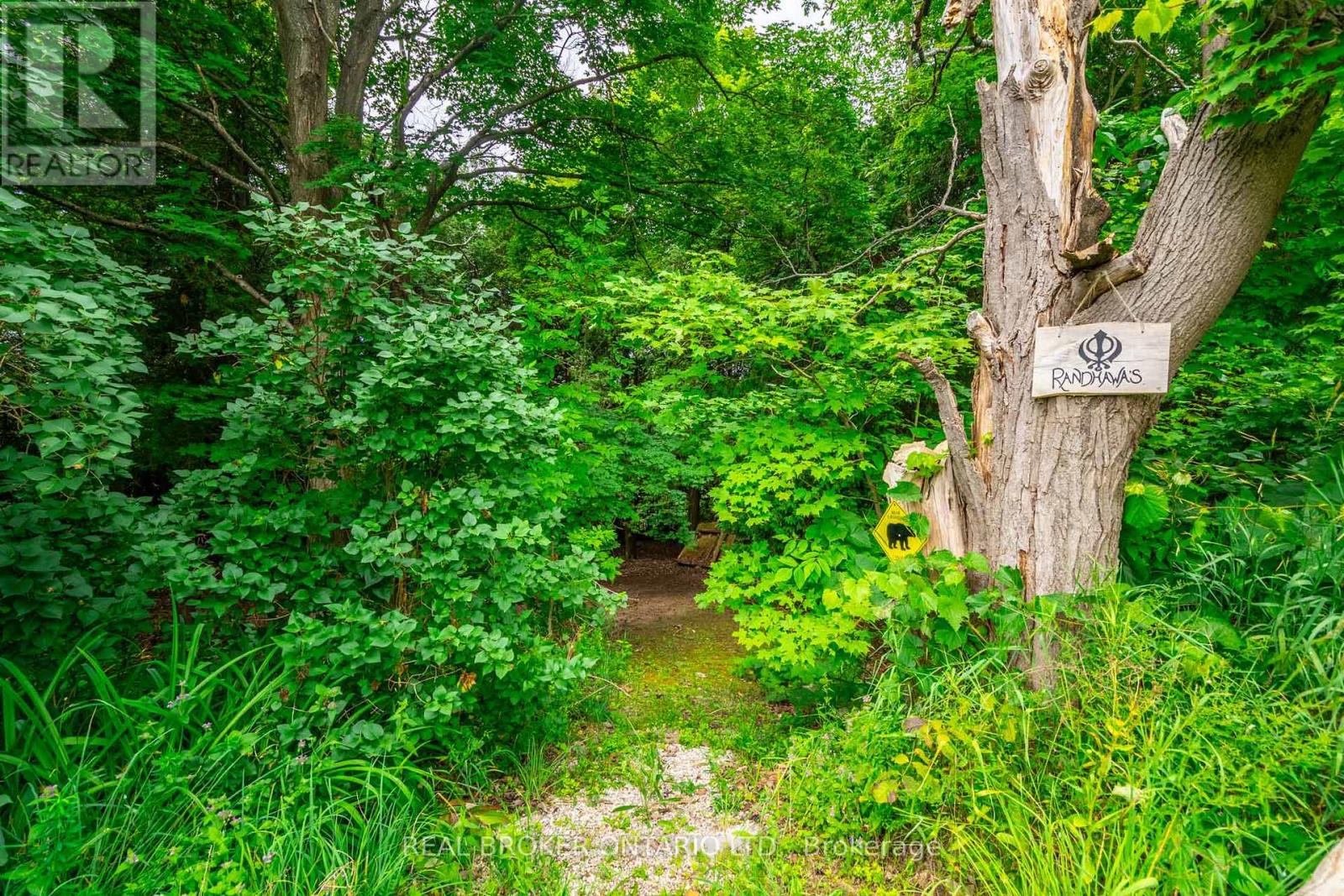 803148 Puddicombe Lane, Chatsworth, Ontario  N0H 1G0 - Photo 44 - X12155627