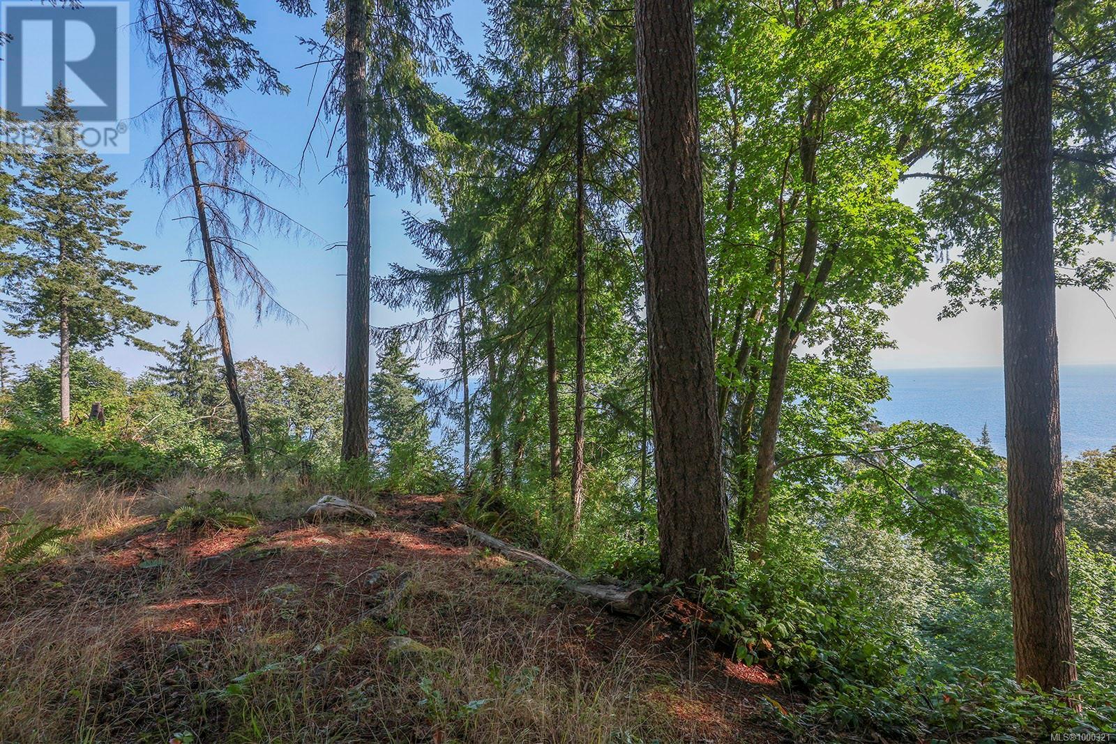 Lt 8 Harmony Cres, Merville, British Columbia  V0R 2M0 - Photo 11 - 1000321