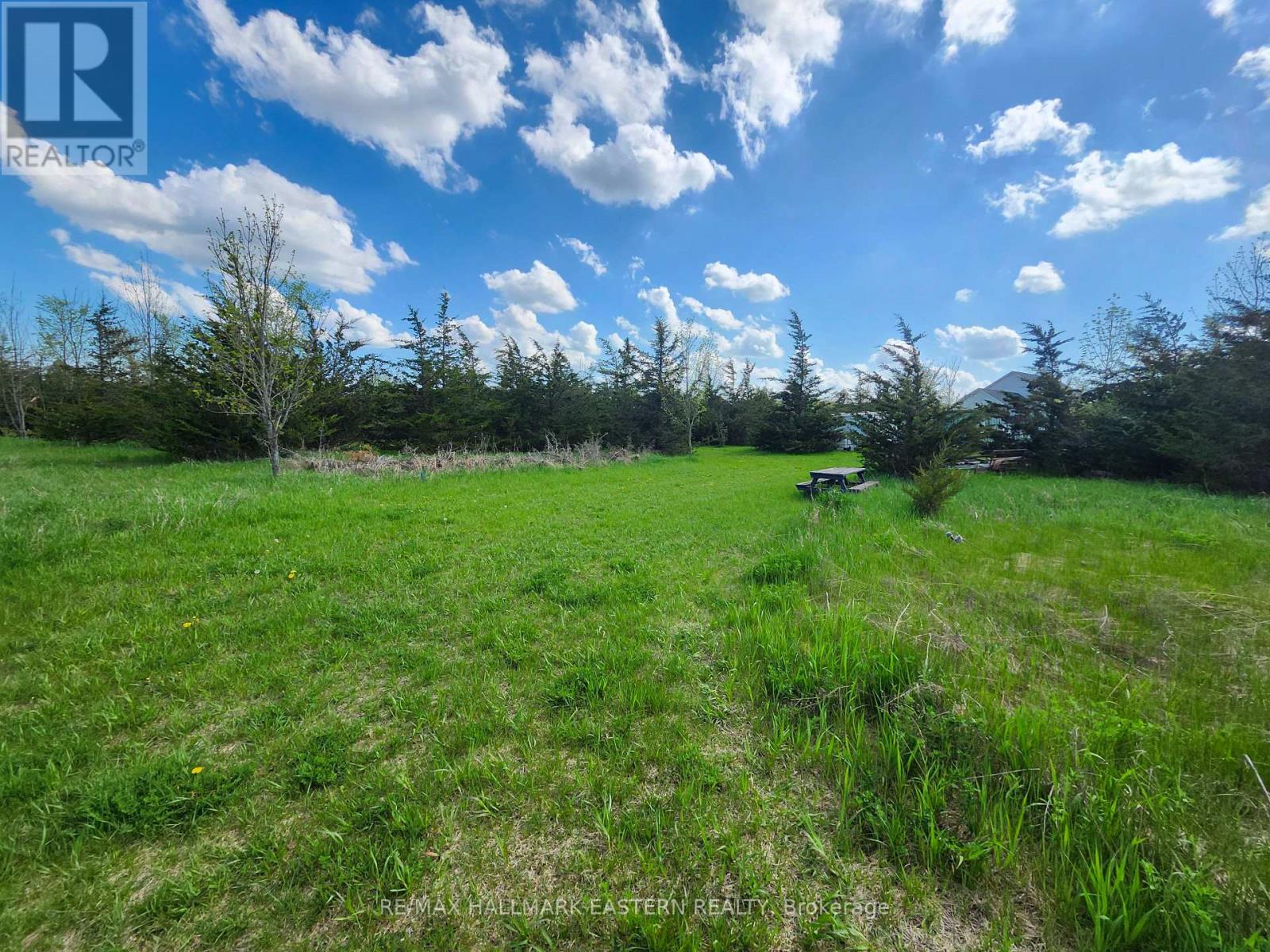 2098 13th Line E, Trent Hills, Ontario  K0K 2M0 - Photo 7 - X12155695