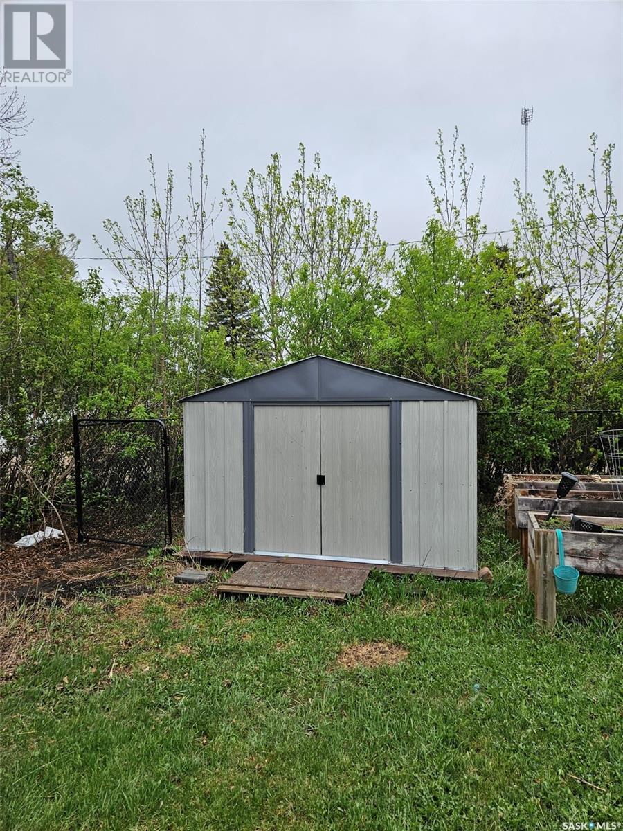 306 West 1st Street, Alida, Saskatchewan  S0C 0B0 - Photo 29 - SK006116