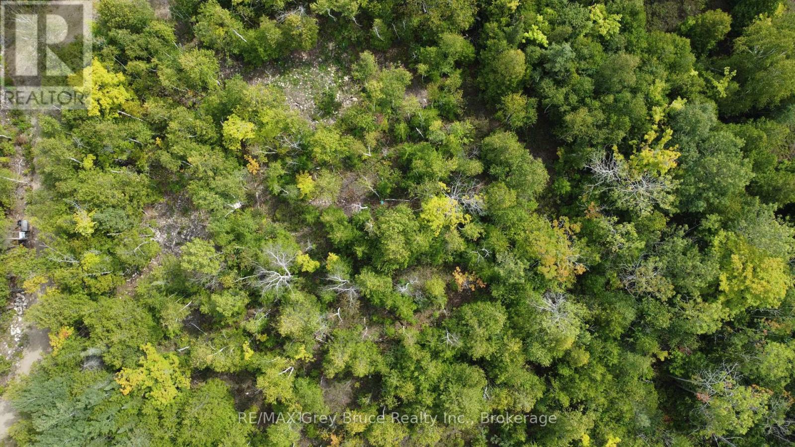 41 Noble Drive, Northern Bruce Peninsula, Ontario  N0H 1Z0 - Photo 17 - X12155812