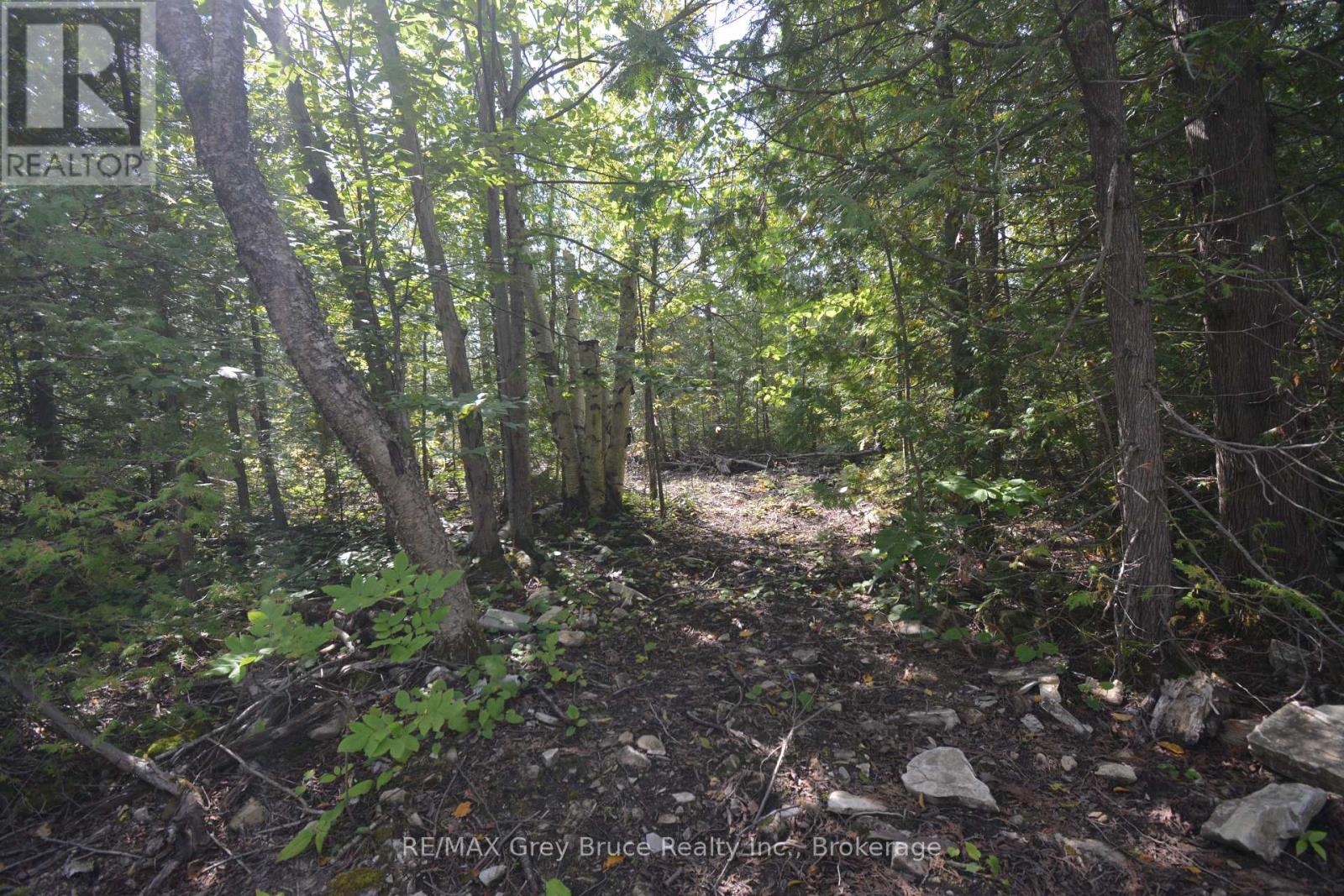 41 Noble Drive, Northern Bruce Peninsula, Ontario  N0H 1Z0 - Photo 27 - X12155812