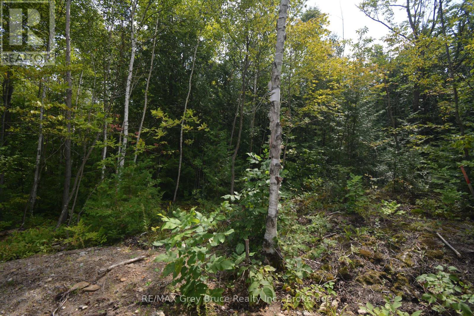 41 Noble Drive, Northern Bruce Peninsula, Ontario  N0H 1Z0 - Photo 33 - X12155812