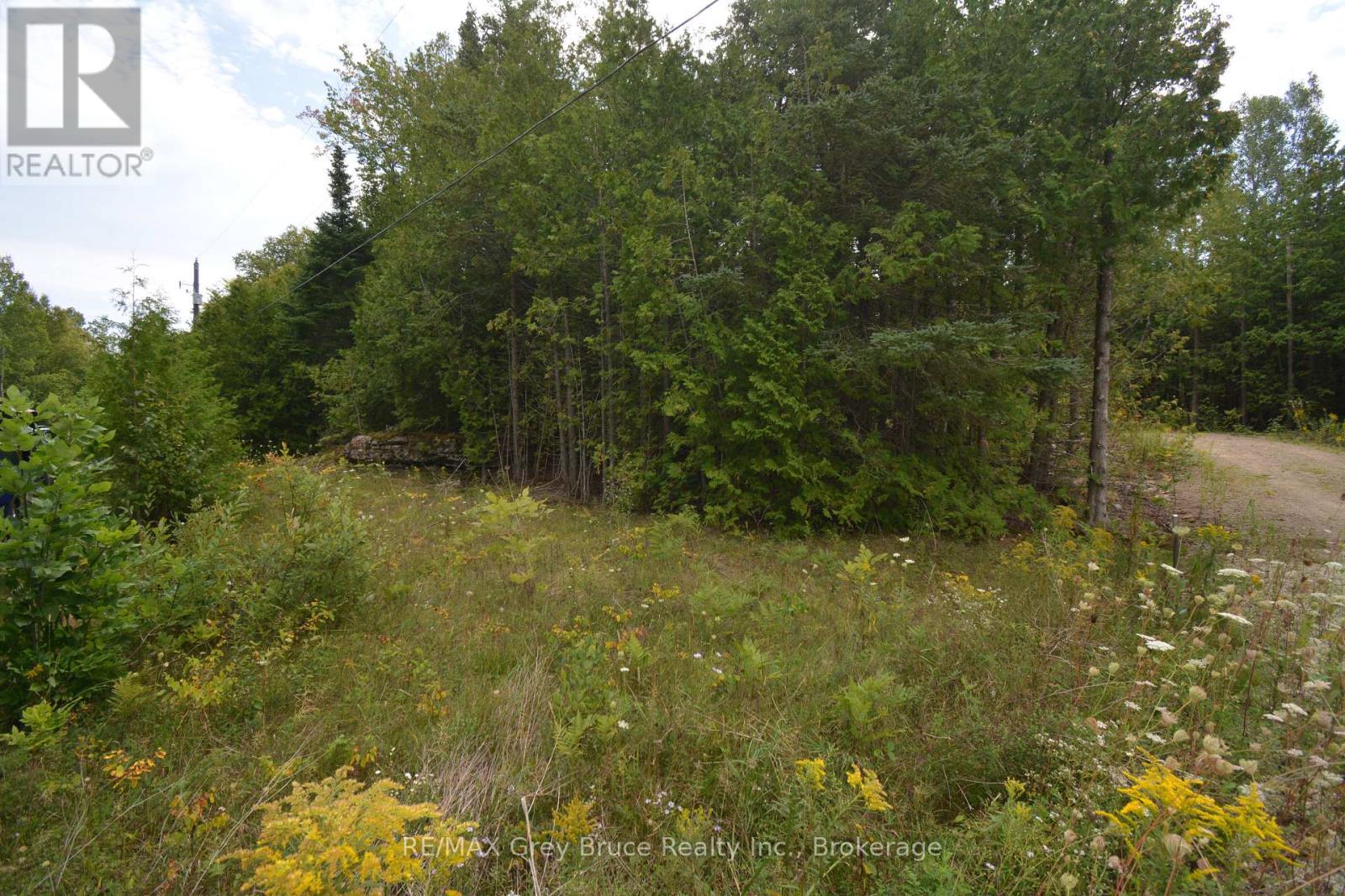 41 Noble Drive, Northern Bruce Peninsula, Ontario  N0H 1Z0 - Photo 38 - X12155812