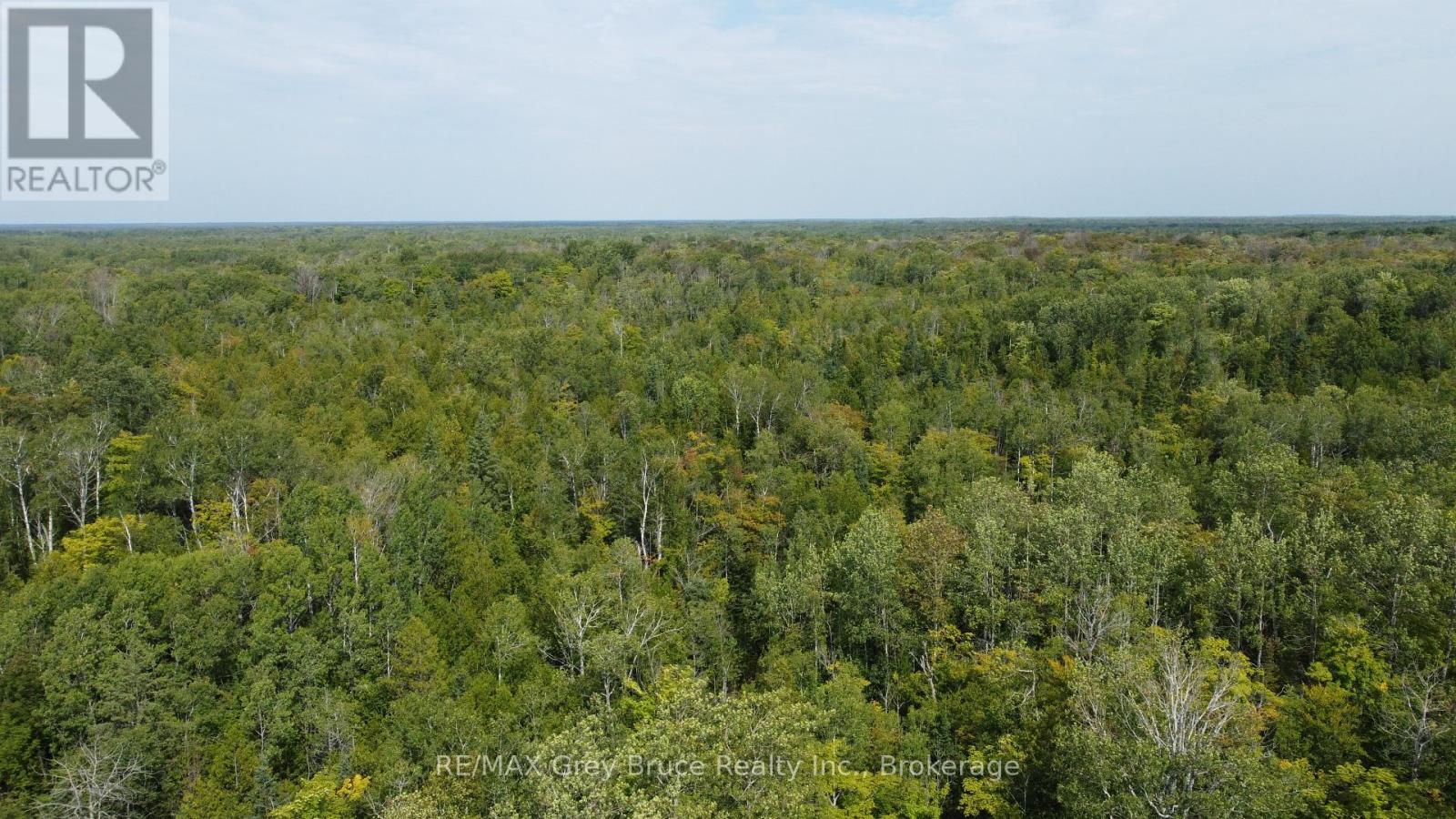 41 Noble Drive, Northern Bruce Peninsula, Ontario  N0H 1Z0 - Photo 7 - X12155812