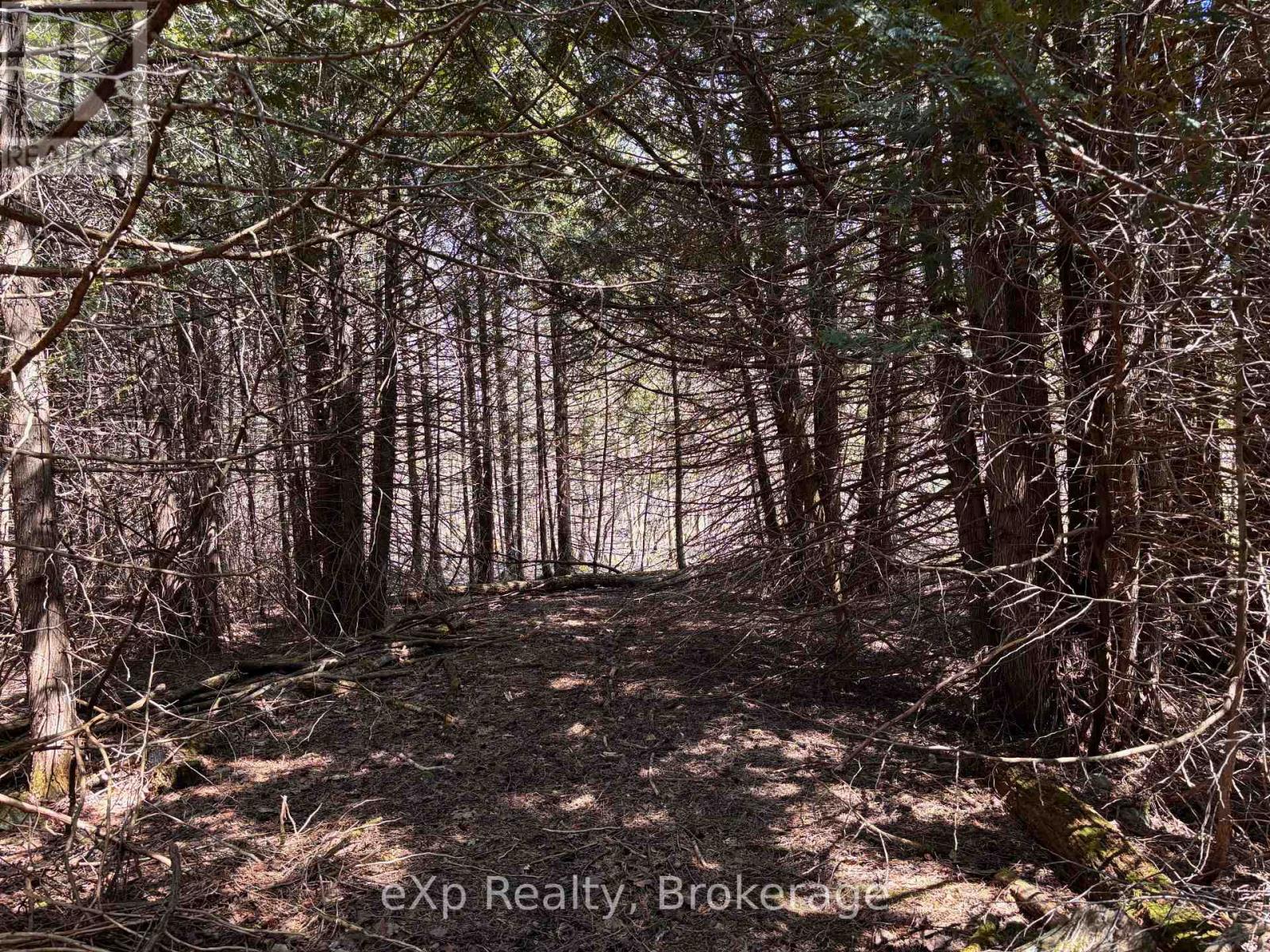 522623 Welbeck Road N, West Grey, Ontario  N0G 1R0 - Photo 13 - X12155773