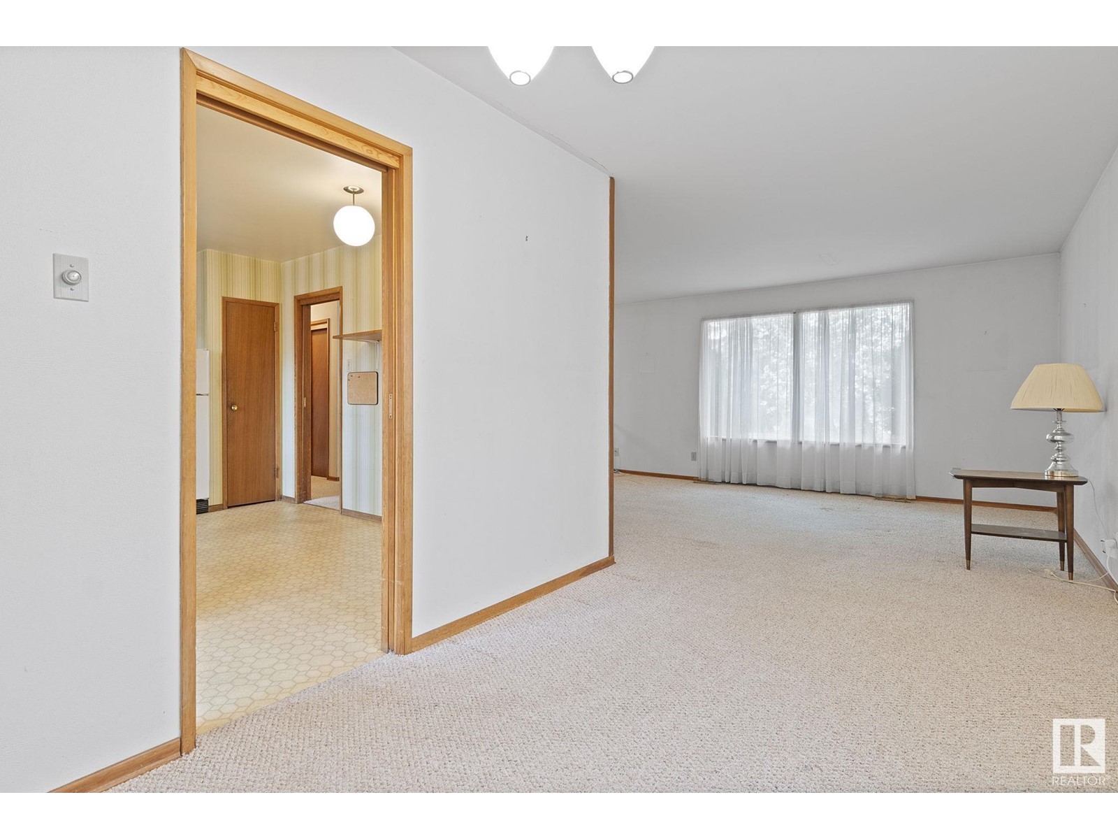 8724 164a St Nw, Edmonton, Alberta  T5R 2R3 - Photo 13 - E4437085