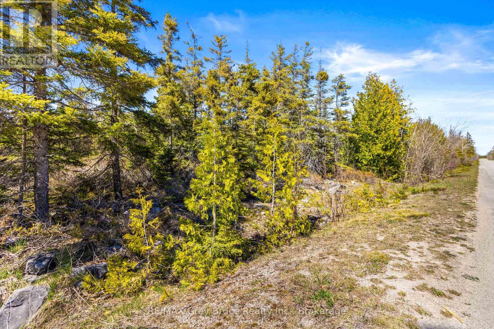 Pt Fm Lt 4 Chi Sin Tib Dek Road, Northern Bruce Peninsula, Ontario  N0H 2R0 - Photo 5 - X12155860