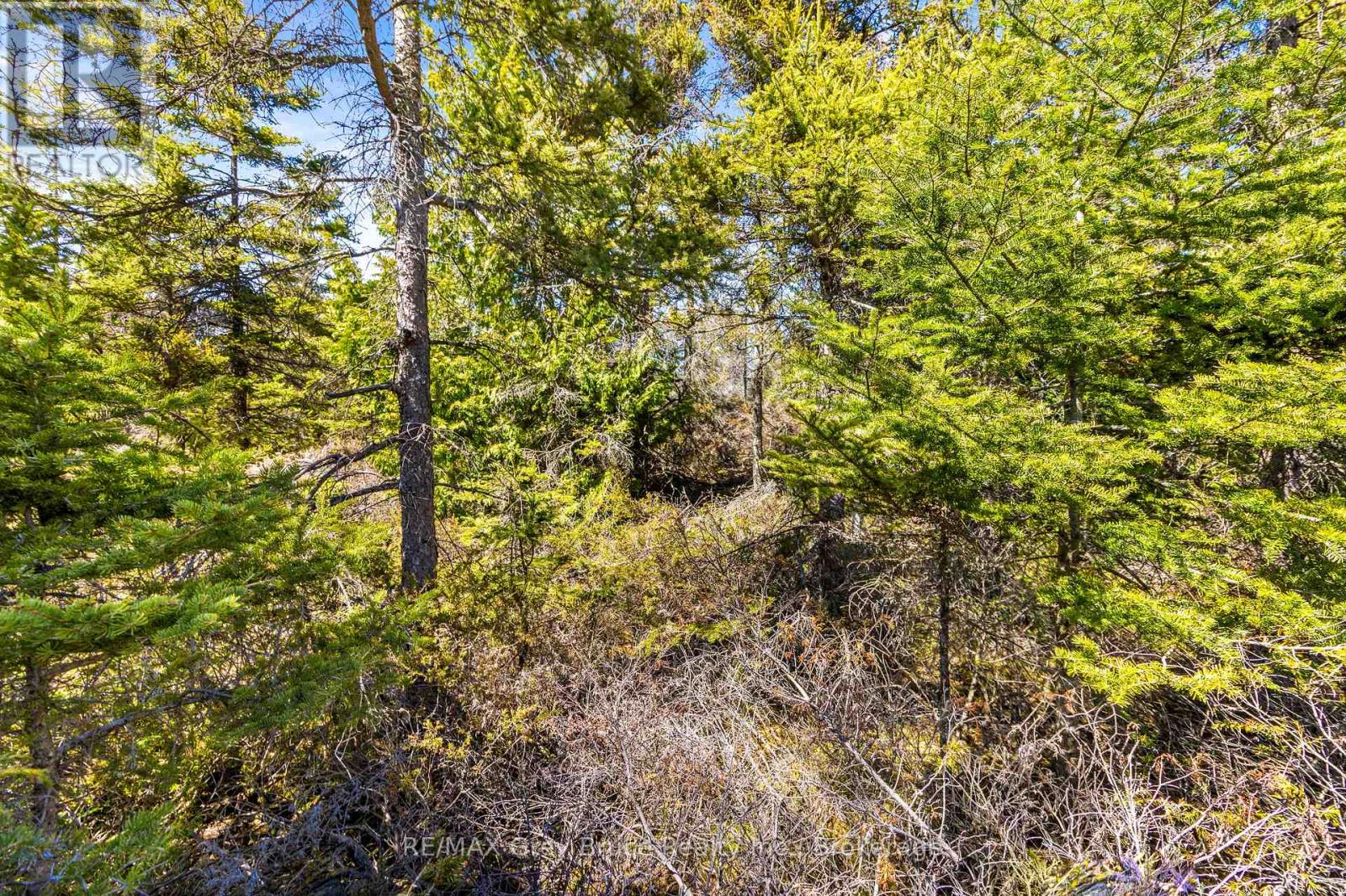 Pt Fm Lt 4 Chi Sin Tib Dek Road, Northern Bruce Peninsula, Ontario  N0H 2R0 - Photo 7 - X12155860