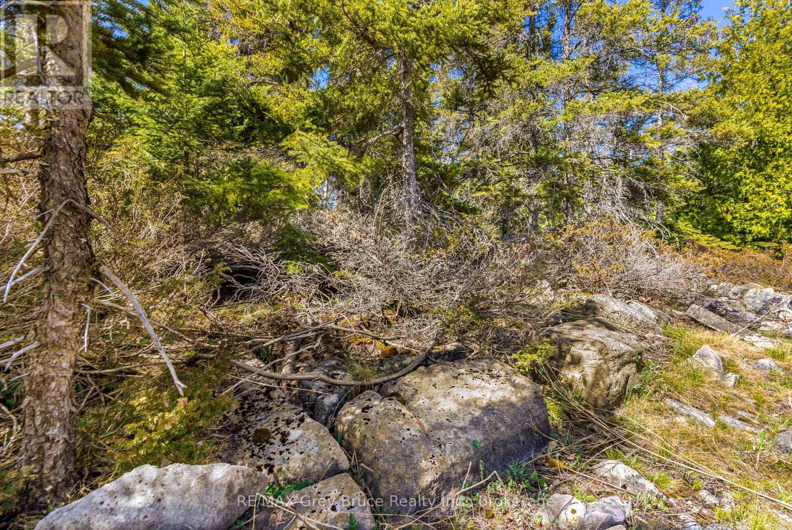 Pt Fm Lt 4 Chi Sin Tib Dek Road, Northern Bruce Peninsula, Ontario  N0H 2R0 - Photo 8 - X12155860