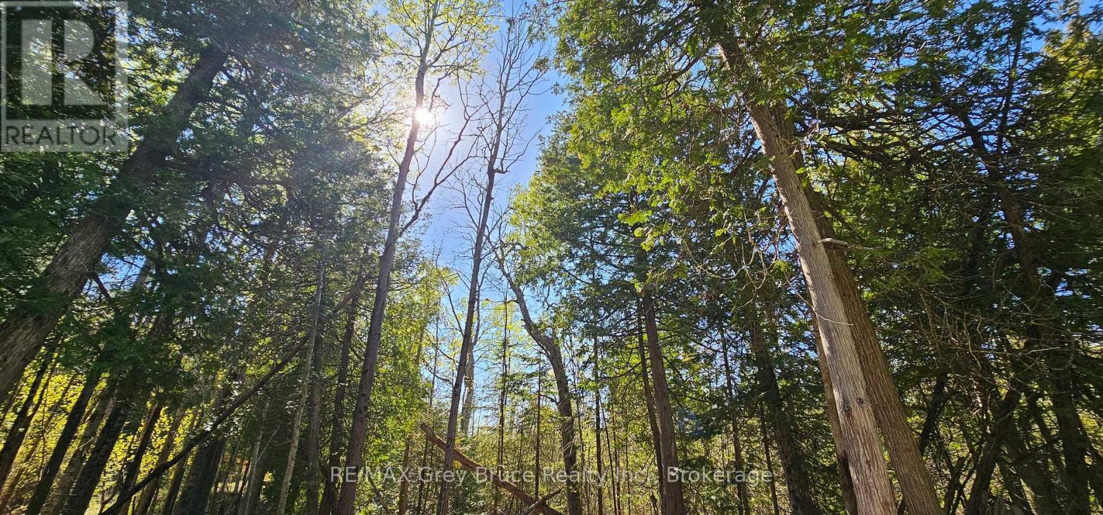 Plan 3m Walter Charman Drive, Northern Bruce Peninsula, Ontario  N0H 2M0 - Photo 29 - X12155872