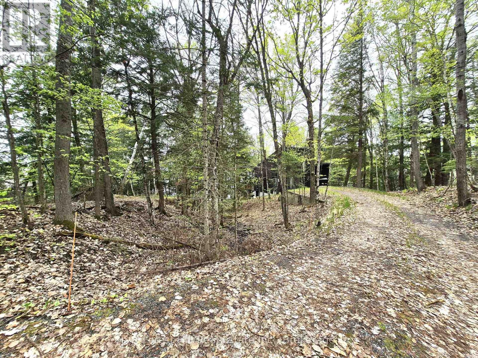 160 West Point Sands Road, Huntsville, Ontario  P1H 2J3 - Photo 2 - X12155889