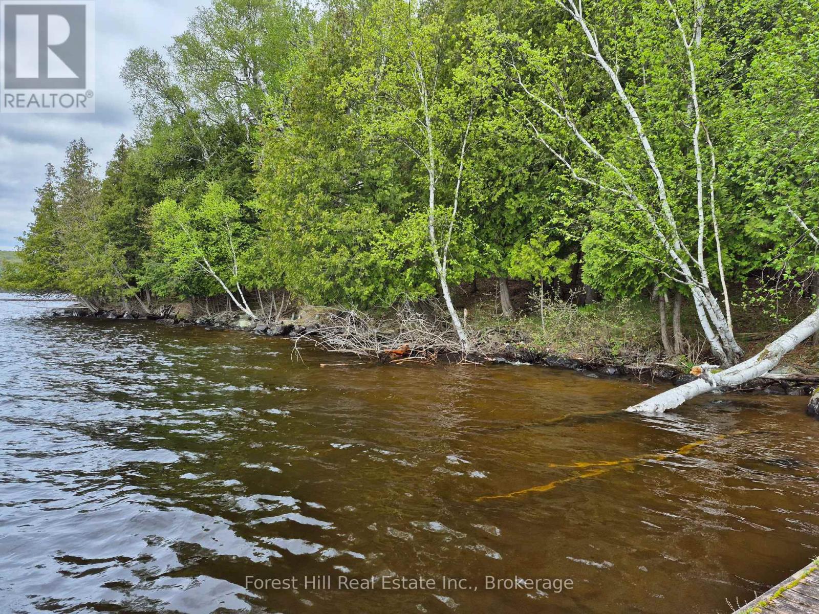 160 West Point Sands Road, Huntsville, Ontario  P1H 2J3 - Photo 20 - X12155889