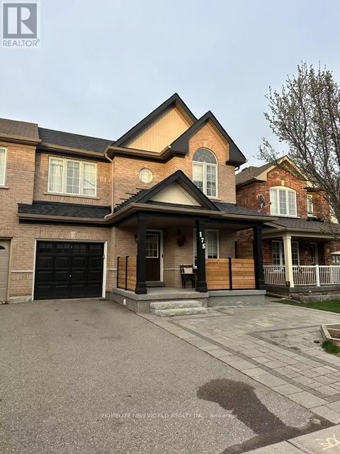 BASEMENT - 175 KNAPTON DRIVE, Newmarket, Ontario