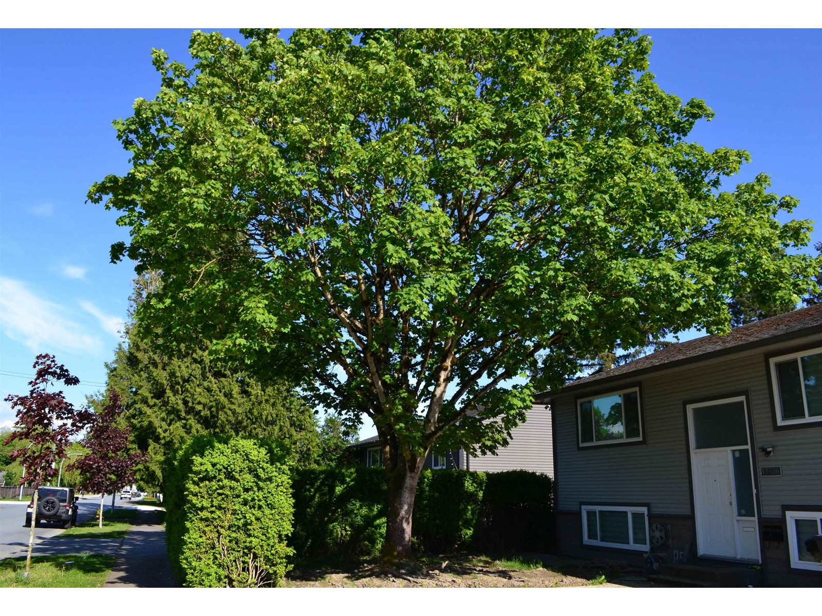 17486 61a Avenue, Surrey, British Columbia  V3S 5K2 - Photo 5 - R3003824