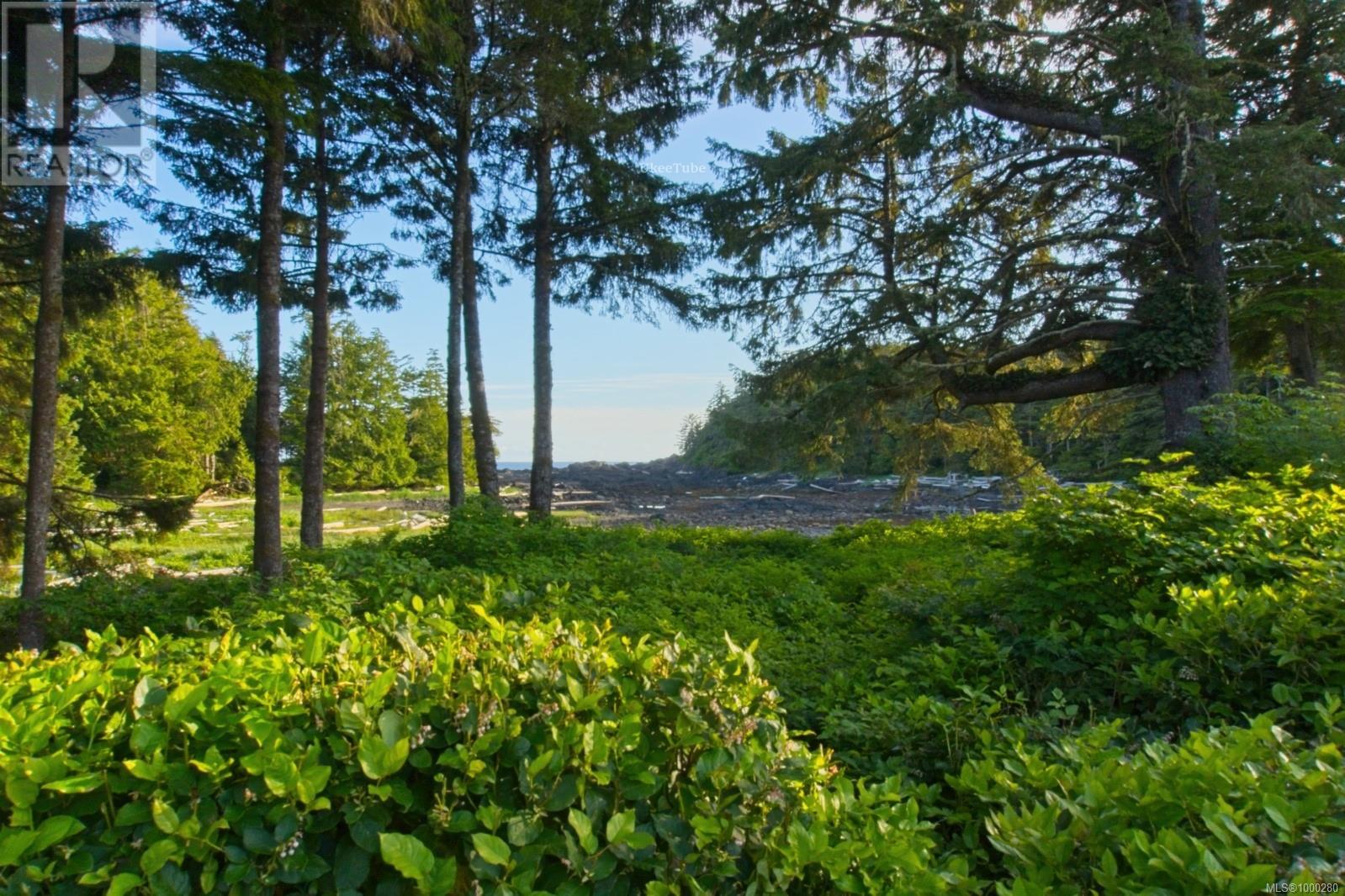 936 Amphitrite Pl, Ucluelet, British Columbia  V0R 3A0 - Photo 26 - 1000280