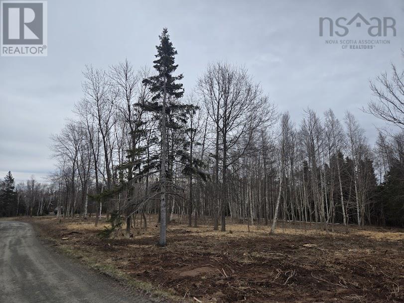 Lot 22 Birch Hill Lane, Caribou River, Nova Scotia