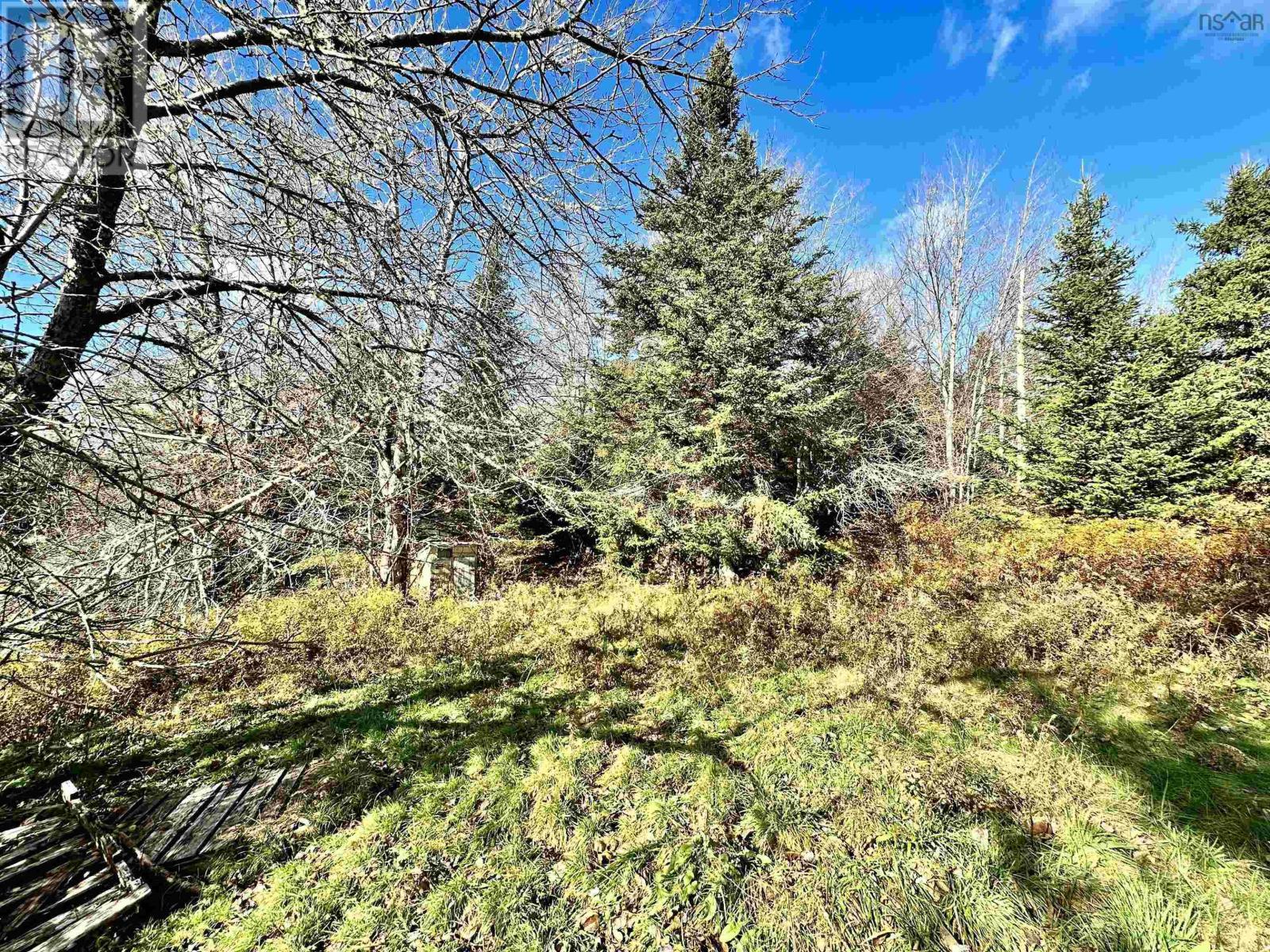 409 Highway 224, Sheet Harbour, Nova Scotia  B0J 3B0 - Photo 11 - 202501845