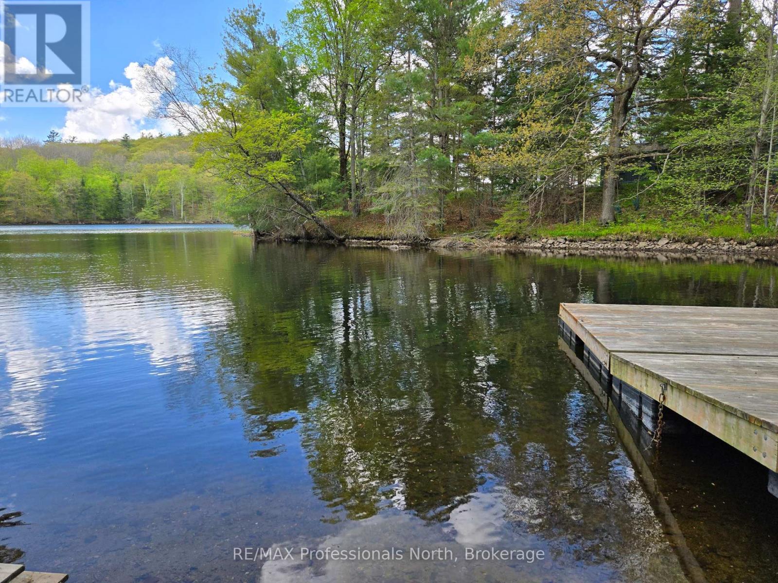 1010 Sturgeon Drive, Minden Hills, Ontario  K0M 2K0 - Photo 25 - X12087159