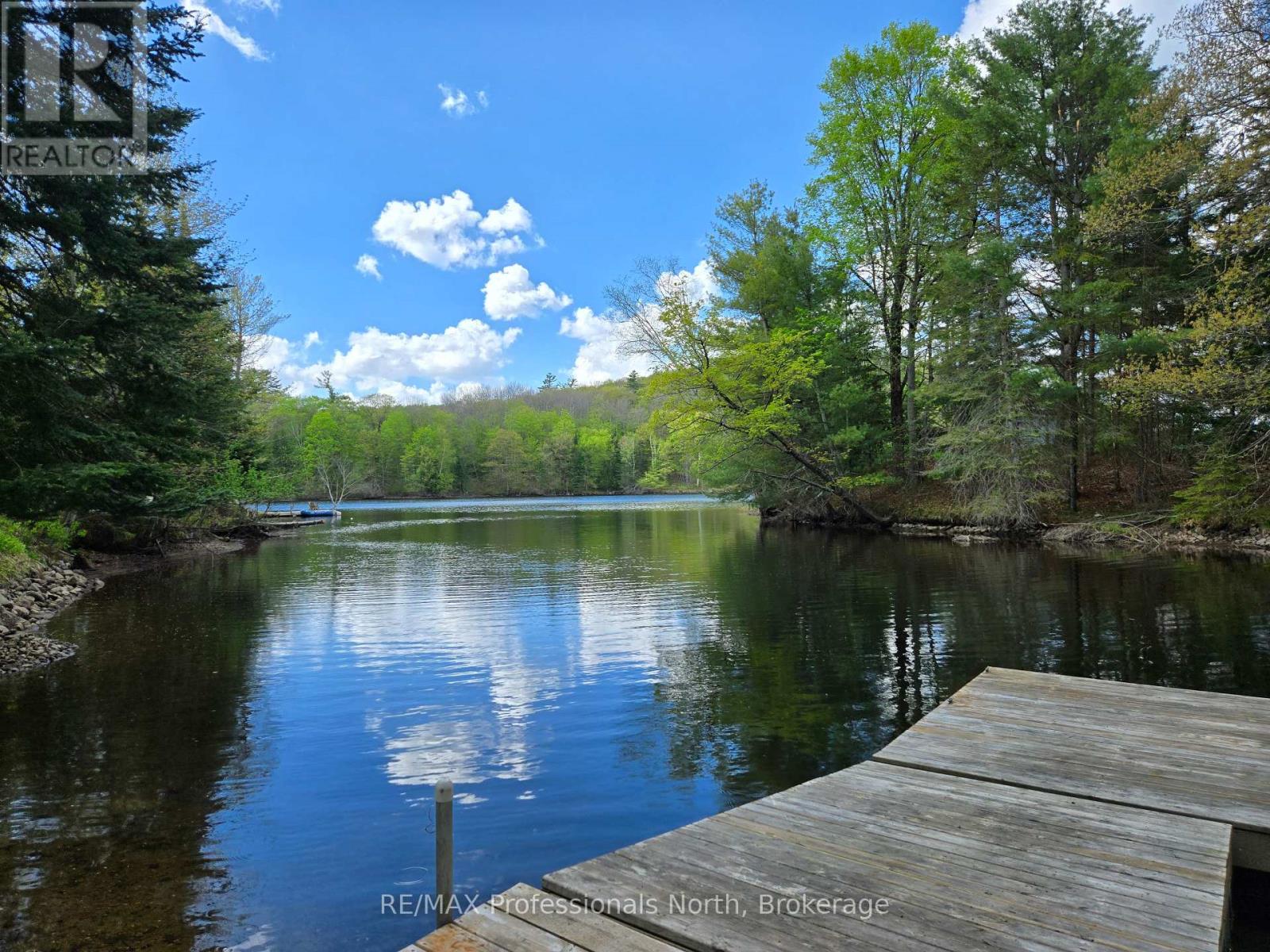 1010 Sturgeon Drive, Minden Hills, Ontario  K0M 2K0 - Photo 26 - X12087159