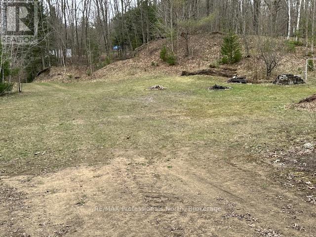 1010 Sturgeon Drive, Minden Hills, Ontario  K0M 2K0 - Photo 45 - X12087159