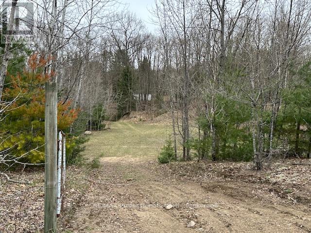 1010 Sturgeon Drive, Minden Hills, Ontario  K0M 2K0 - Photo 46 - X12087159