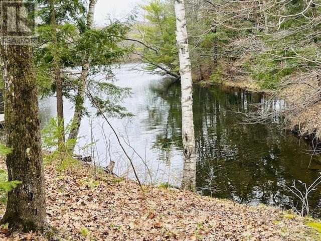 1010 Sturgeon Drive, Minden Hills, Ontario  K0M 2K0 - Photo 44 - X12087159
