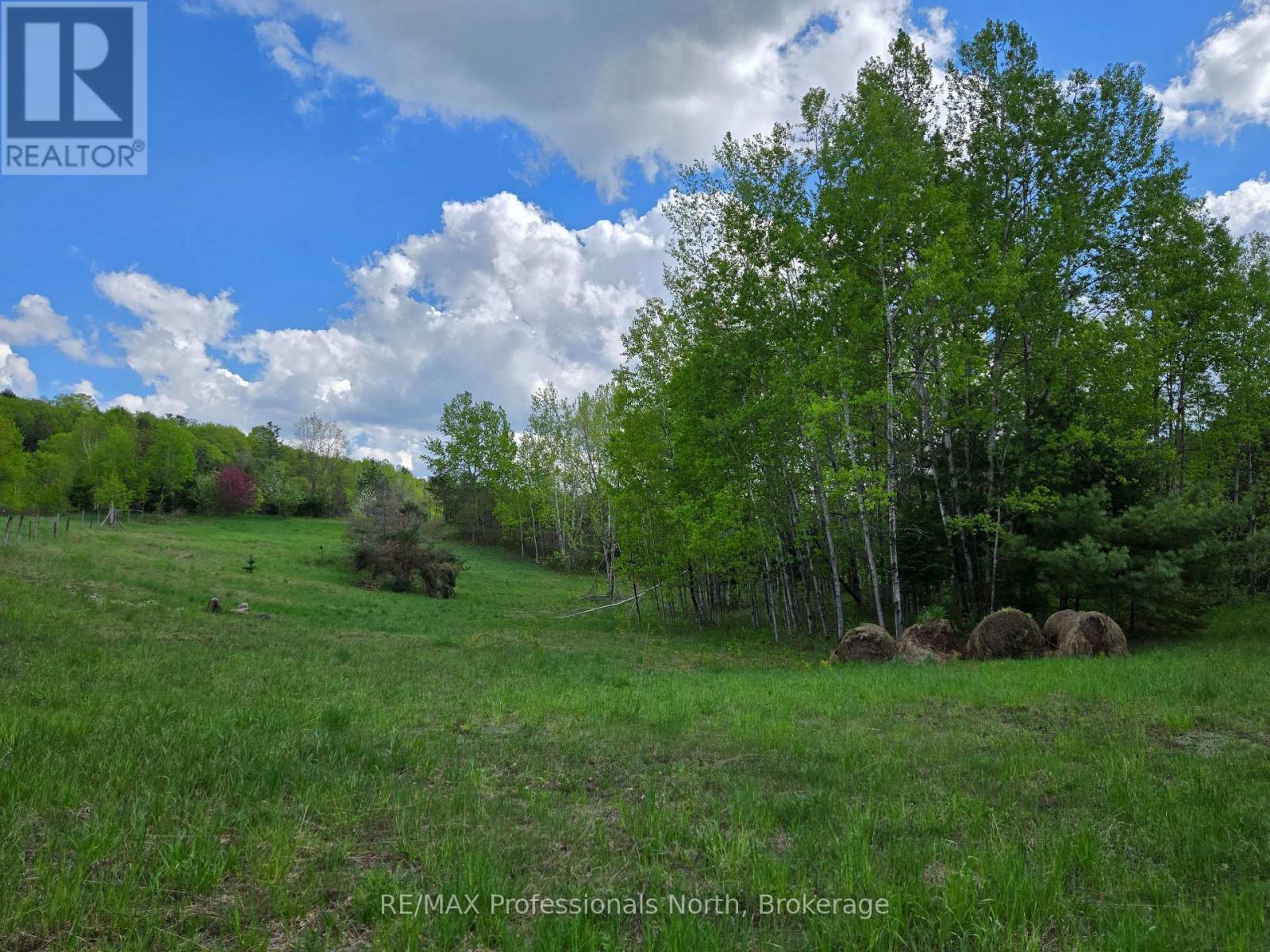 1010 Sturgeon Drive, Minden Hills, Ontario  K0M 2K0 - Photo 48 - X12087159