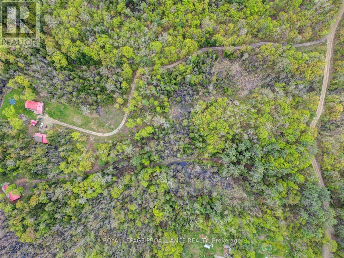 1612 Shanick Road, Marmora And Lake (Marmora Ward), Ontario  K0K 2M0 - Photo 28 - X12156143