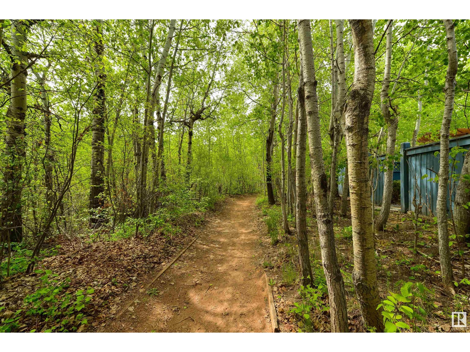 14 Prestige Pt Nw, Edmonton, Alberta  T6M 2T3 - Photo 60 - E4436825