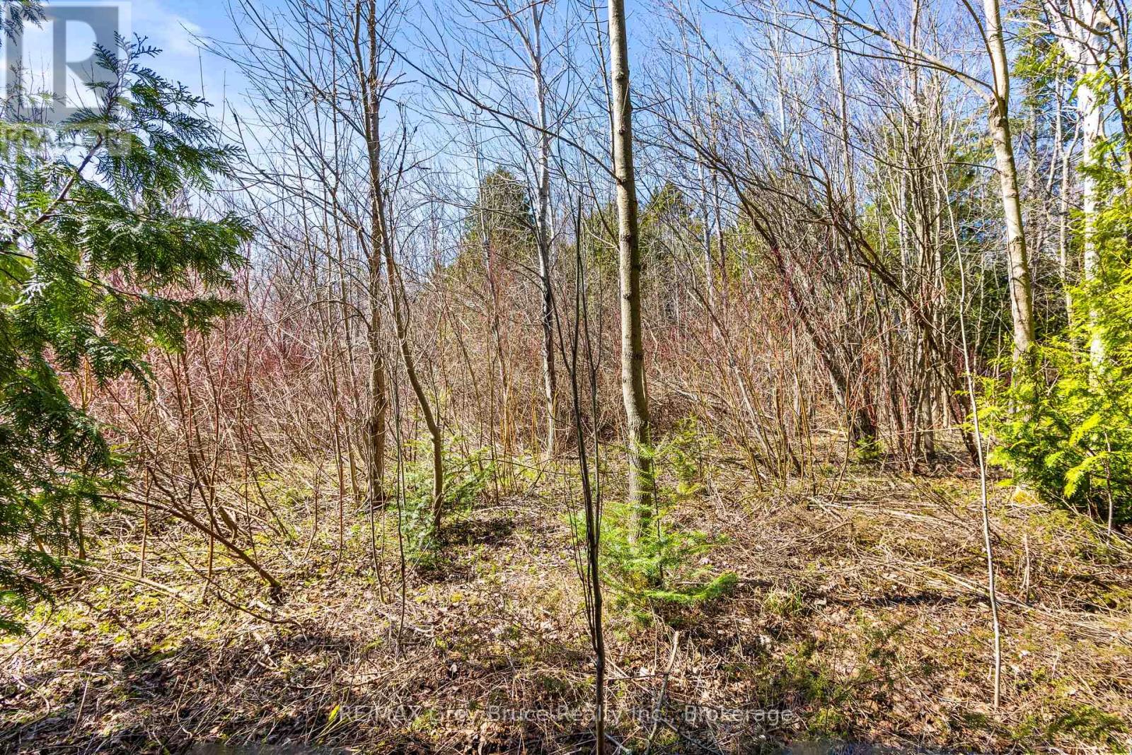 57 Maple Golf Crescent, Northern Bruce Peninsula, Ontario  N0H 2R0 - Photo 14 - X11956564