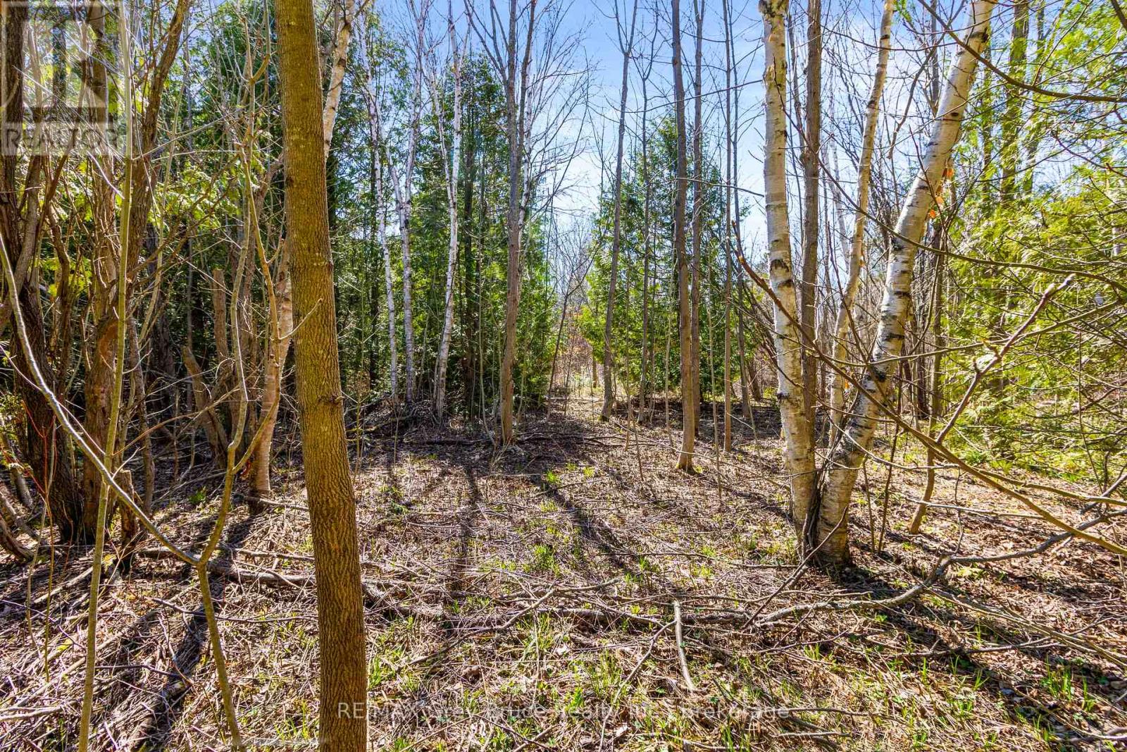 57 Maple Golf Crescent, Northern Bruce Peninsula, Ontario  N0H 2R0 - Photo 12 - X11956564
