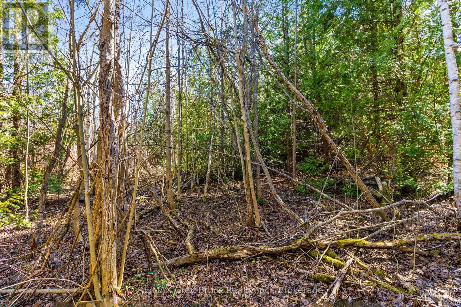 57 Maple Golf Crescent, Northern Bruce Peninsula, Ontario  N0H 2R0 - Photo 15 - X11956564