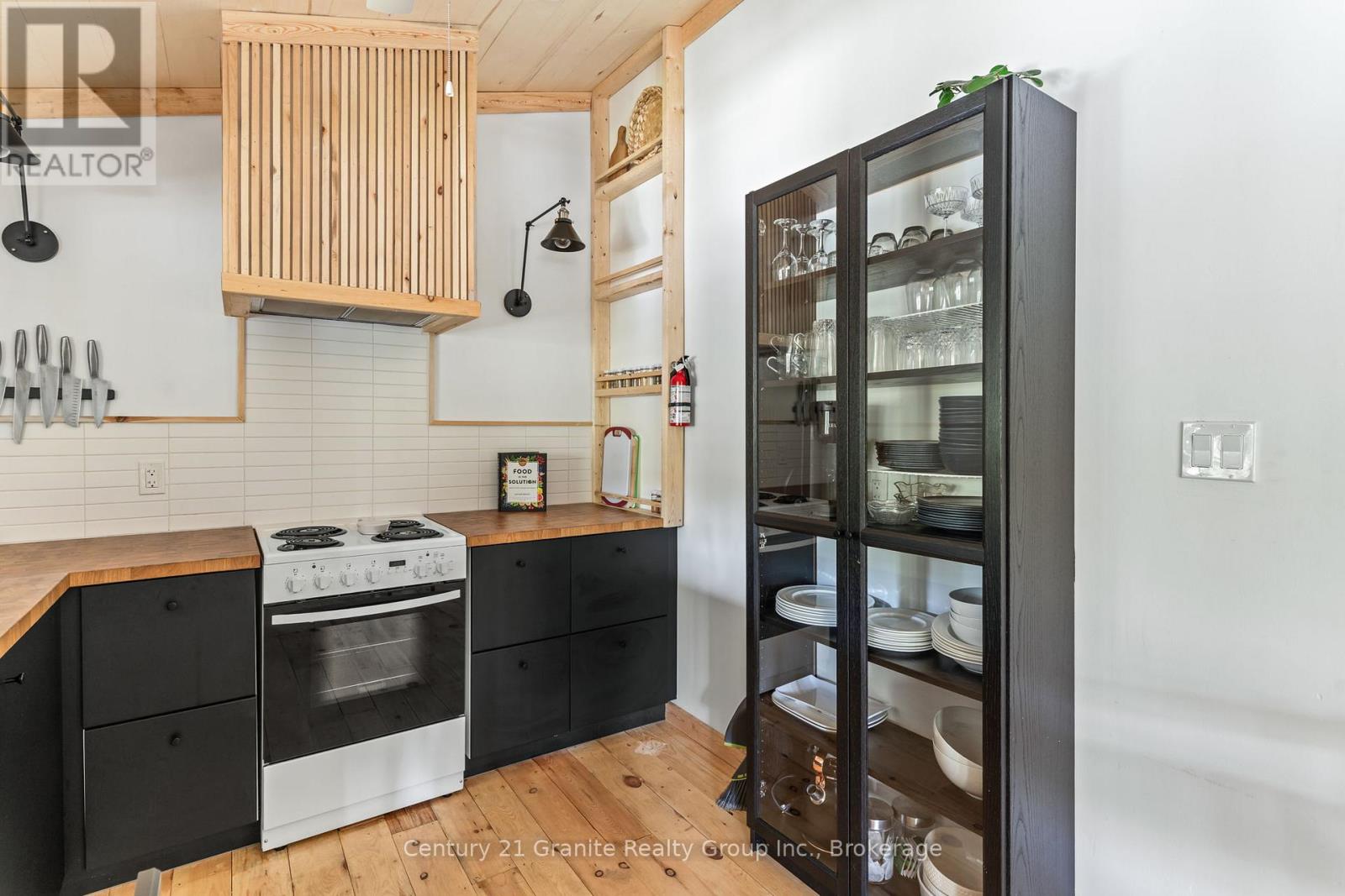 1954 South Beaver Lake Lane, Minden Hills (Lutterworth), Ontario  K0M 2K0 - Photo 15 - X12156142