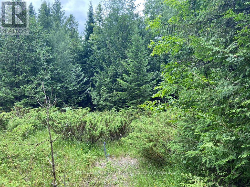 0 BARCROFT ROAD, Trent Lakes, Ontario