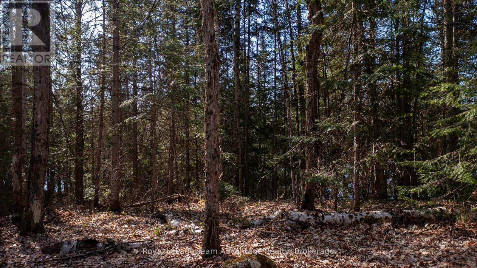 Lot 2 Greenwood Way, Whitestone, Ontario  P0A 1G0 - Photo 14 - X12156148