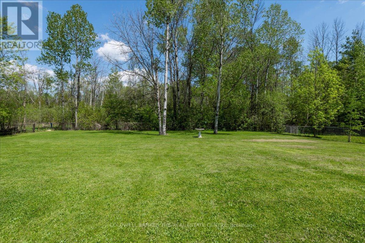 1121 Ferrier Avenue, Innisfil, Ontario  L0L 1W0 - Photo 23 - N12156162