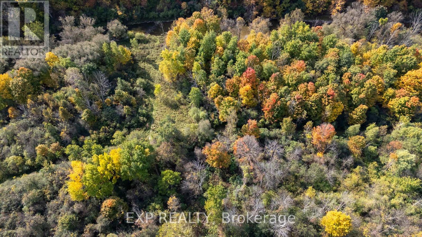 43 Glenridge Crescent, London North, Ontario  N6G 4W5 - Photo 48 - X12155756