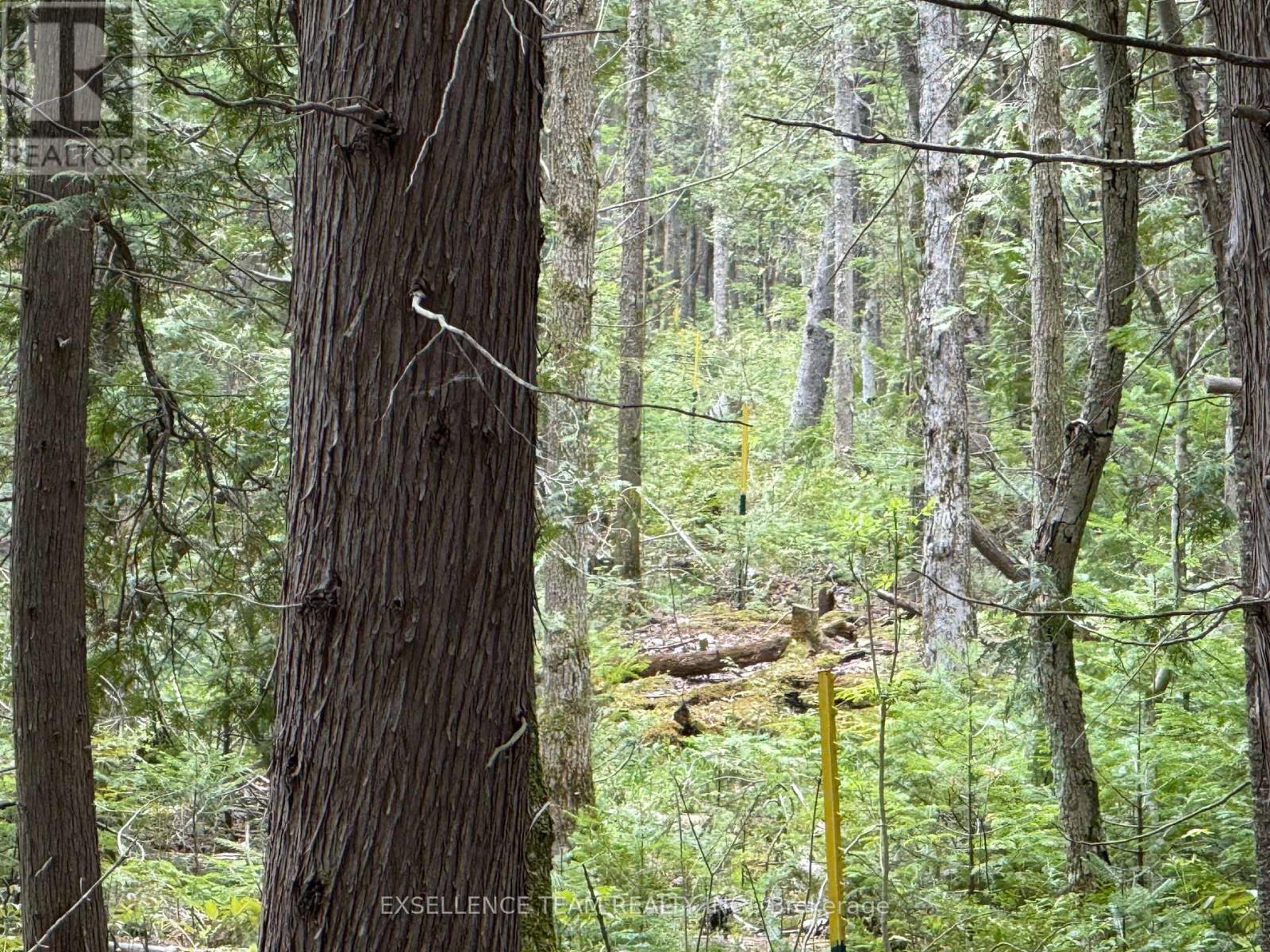 000 Kenyon Dam Road S, North Glengarry, Ontario  K0C 1A0 - Photo 3 - X12156297
