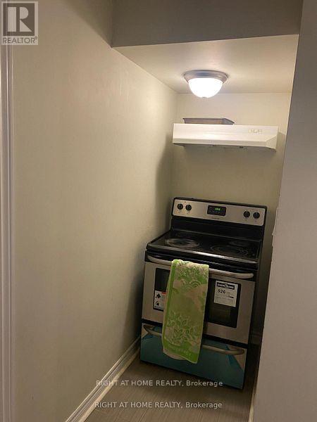 Basement - 70 Rumbellow Crescent, Ajax, Ontario  L1Z 0P8 - Photo 24 - E12156304
