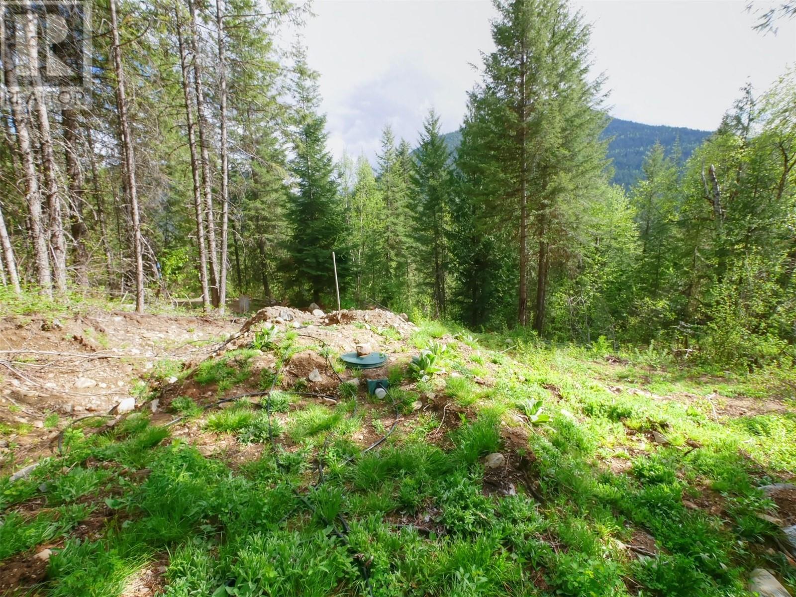 4679 Erie-Ross Spur Road, Salmo, BC V0G1Z0
