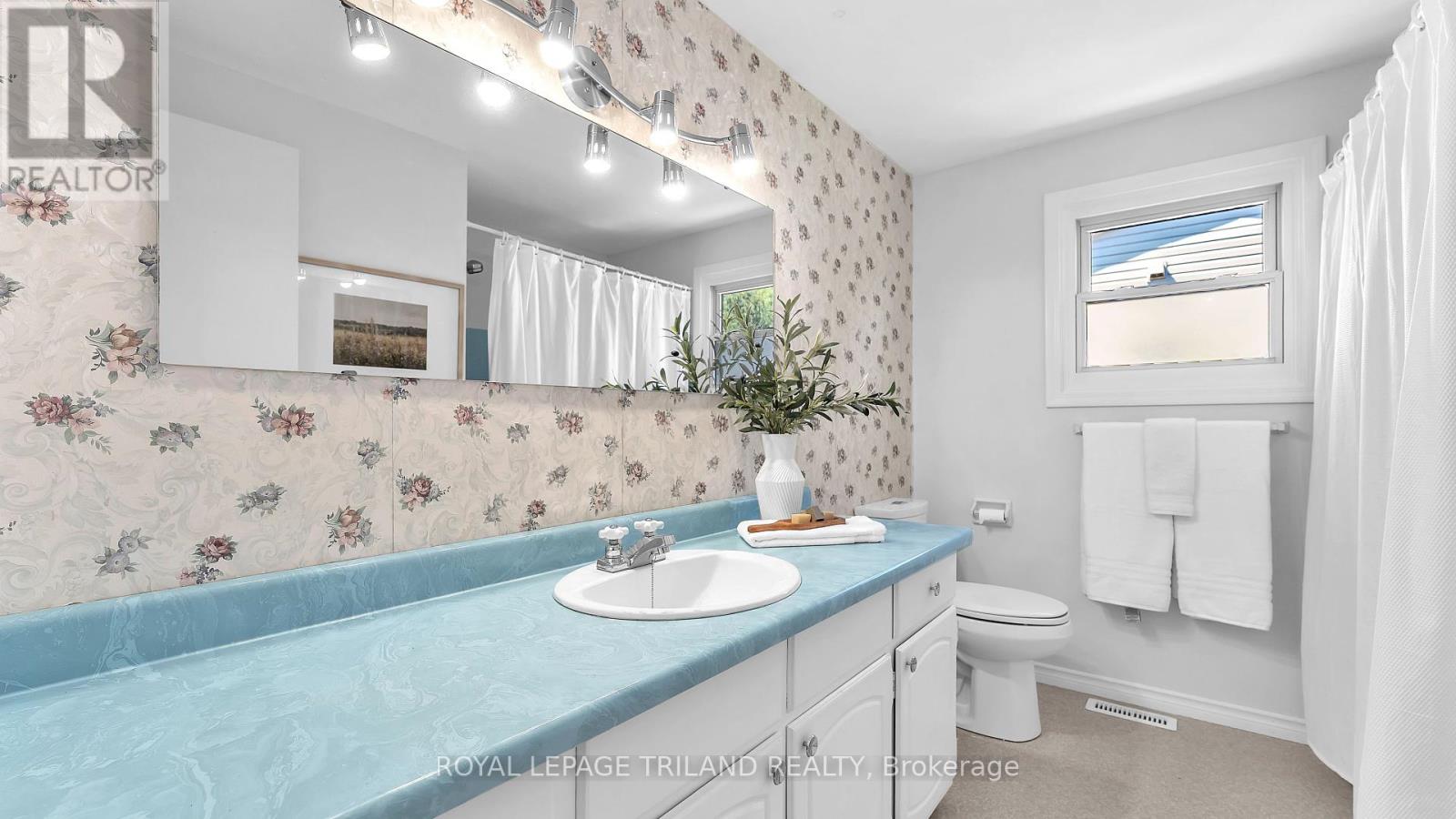 113 Monmore Road, London North, Ontario  N6G 2W7 - Photo 19 - X12143836