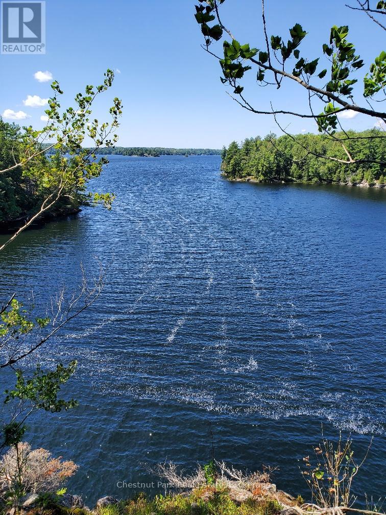 1022 Old Township Road, Muskoka Lakes, Ontario  P0B 1J0 - Photo 6 - X12156335
