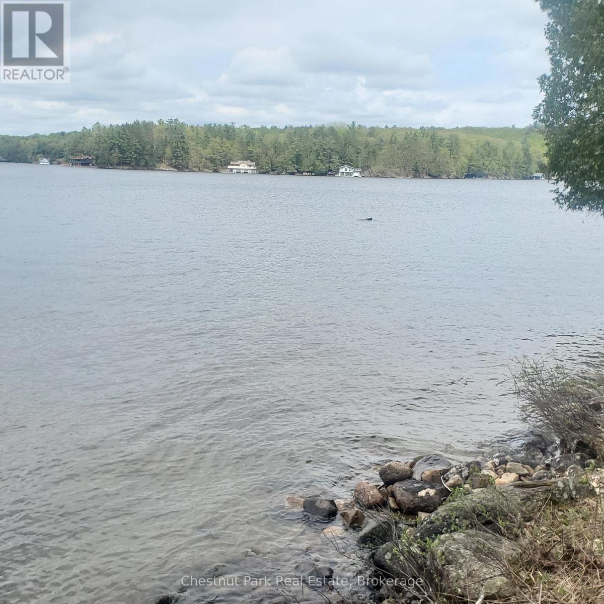76 Tobin Island, Muskoka Lakes (Medora), Ontario  P0B 1J0 - Photo 12 - X12152765
