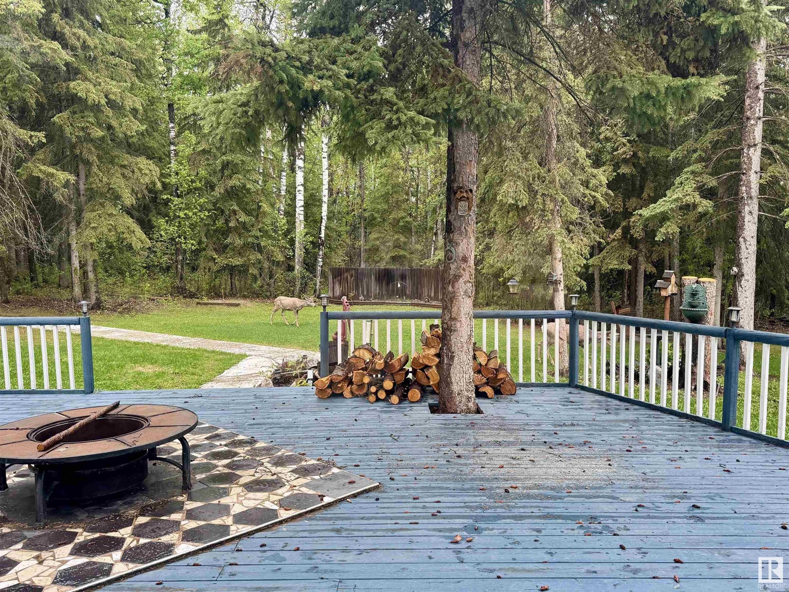 5812 Mitchell Dr, Drayton Valley, Alberta  T7A 1V1 - Photo 55 - E4437155