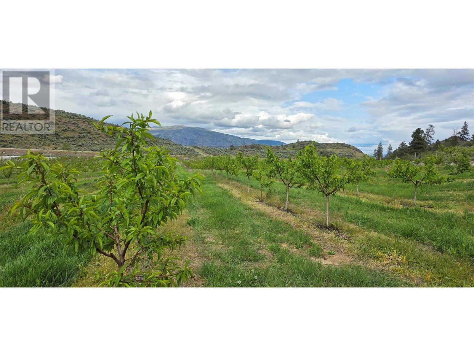 13969 Old Richter Pass Road, Osoyoos, British Columbia  V0H 1V5 - Photo 35 - 10346627
