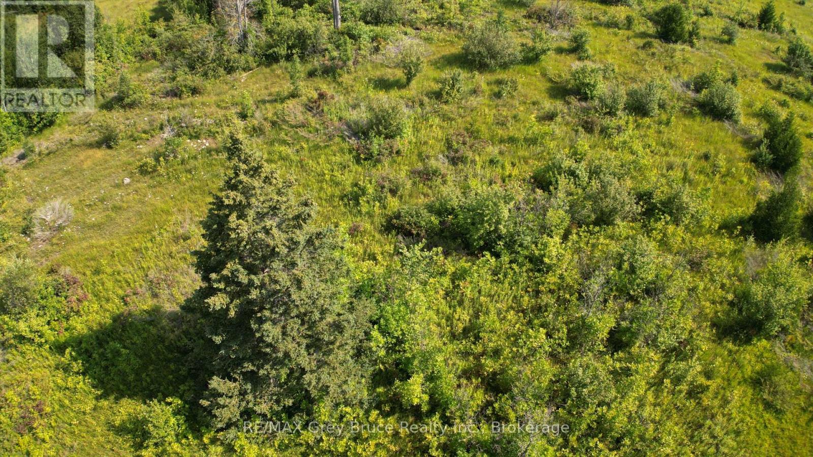 Lt 36 Bartley Drive, Northern Bruce Peninsula, Ontario  N0H 1Z0 - Photo 12 - X12156463