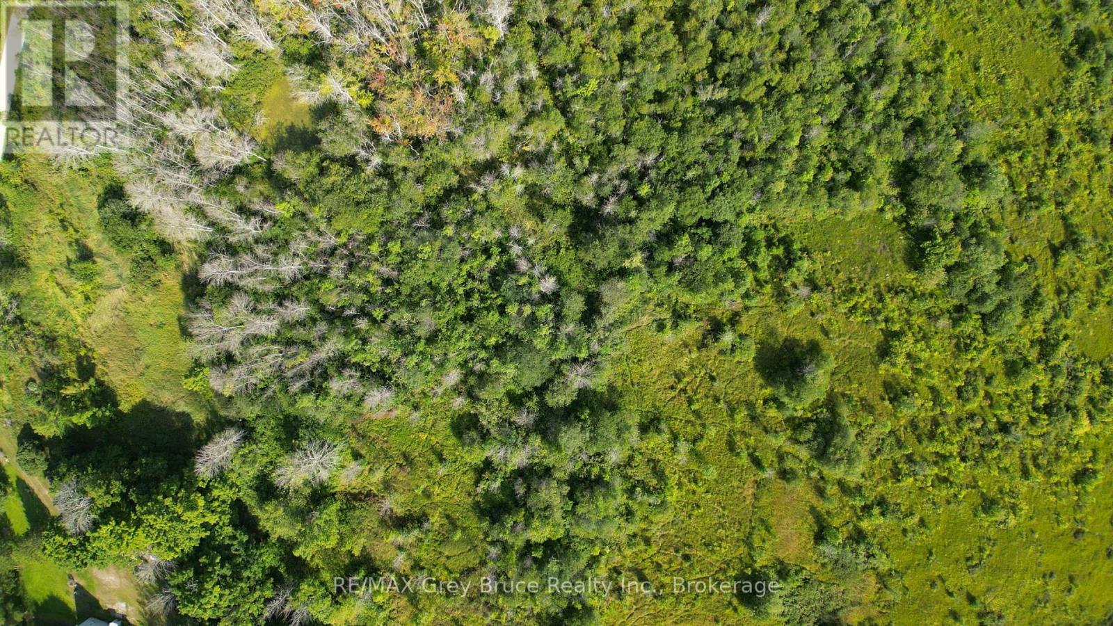 Lt 36 Bartley Drive, Northern Bruce Peninsula, Ontario  N0H 1Z0 - Photo 4 - X12156463