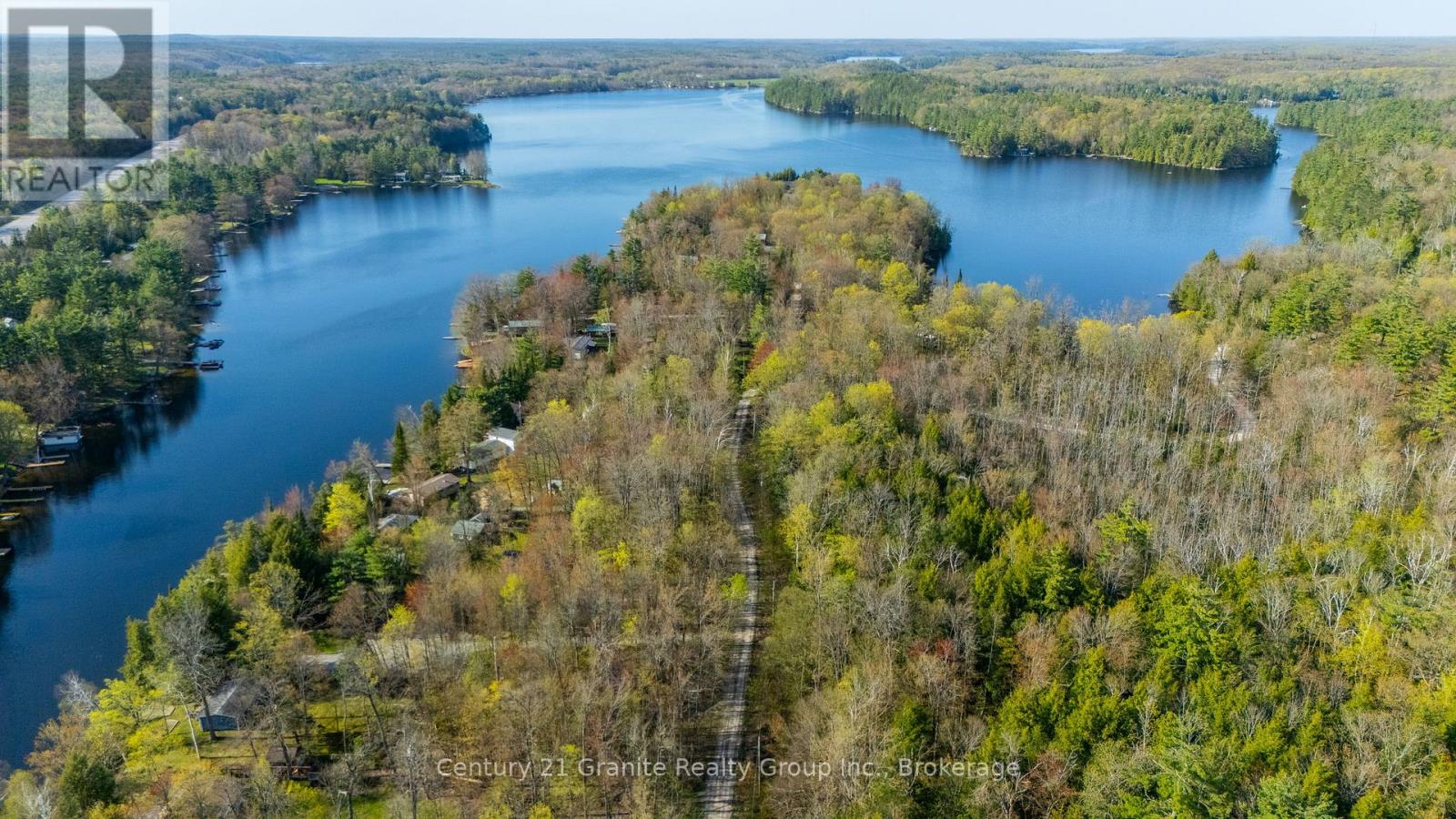 1954 South Beaver Lake Lane, Minden Hills, Ontario  K0M 2K0 - Photo 47 - X12156142