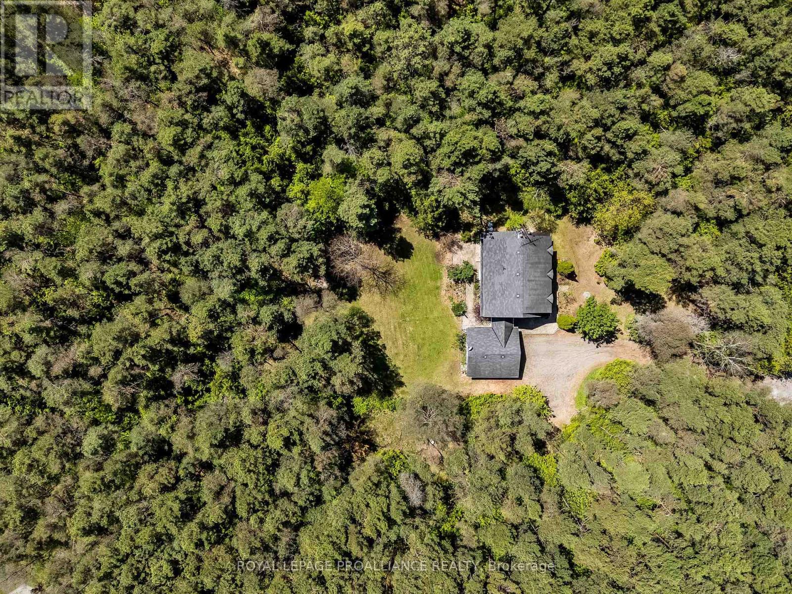 123 Pine Tree Lane, Cramahe, Ontario  K0K 1S0 - Photo 43 - X12156635